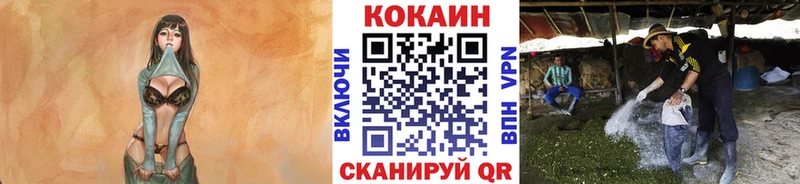 COCAIN 98%  Сланцы 