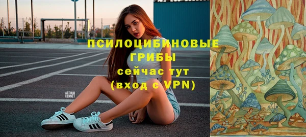 дживик Баксан