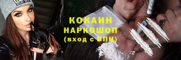 сатива Арсеньев