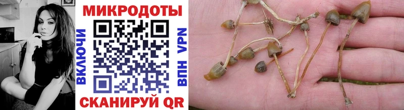 Псилоцибиновые грибы мицелий  Сланцы 