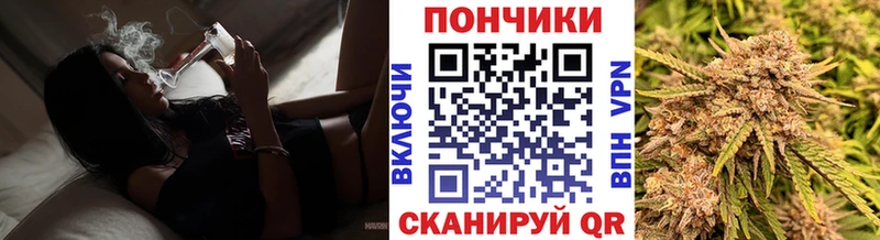Марихуана конопля Сланцы